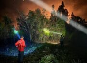 Api Lahap 4 Hektare Lahan di Pematang Karau