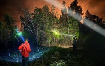 Api Lahap 4 Hektare Lahan di Pematang Karau