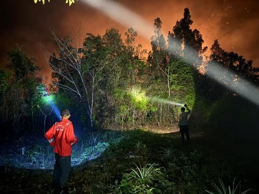 Api Lahap 4 Hektare Lahan di Pematang Karau