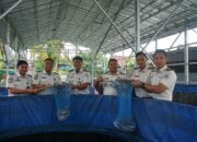 Januari-April, Rutan Palangka Raya Sukses Panen 1,2 Ton Lele