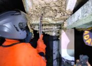 Damkar Evakuasi Sarang Tawon Vespa di Area Kuburan