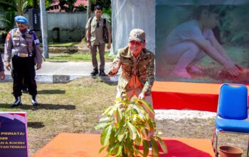 Siapkan Tenaga Terampil Siap Kerja, Gubernur Biayai 360 Mahasiswa D1 Vokasi Agroforestry