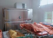 5 Tewas Dibunuh di Perbatasan Kaltim-Kalteng, 1 Kritis