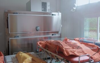 5 Tewas Dibunuh di Perbatasan Kaltim-Kalteng, 1 Kritis