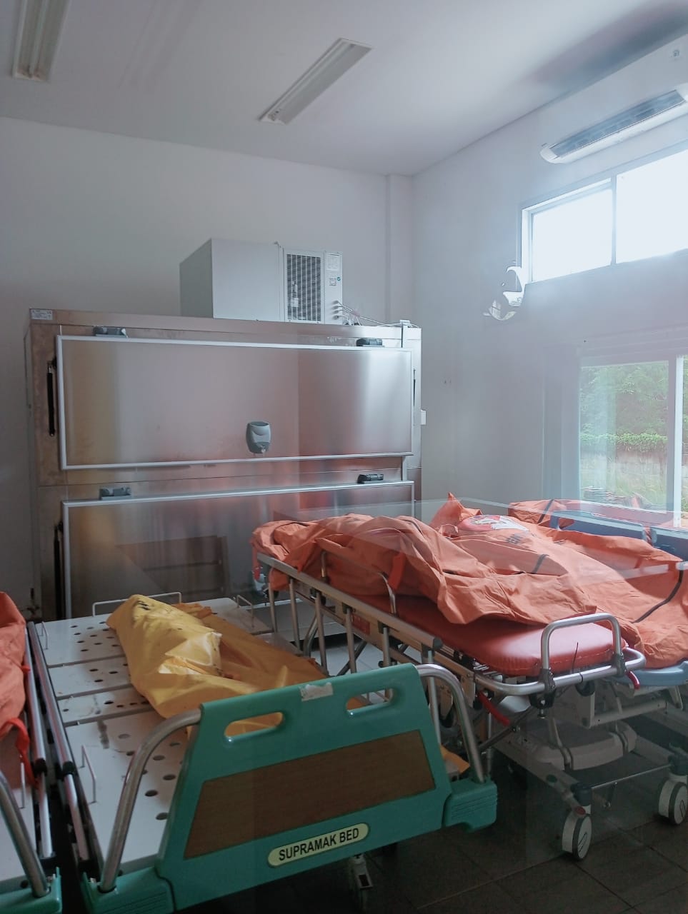 5 Tewas Dibunuh di Perbatasan Kaltim-Kalteng, 1 Kritis