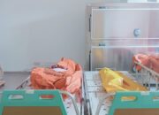 3 Pelaku Gunakan Senpi Rakitan dan Parang, 5 Korban yang Tewas Dibunuh di Perbatasan Kalteng-Kaltim: Ada Anak Usia 3 Tahun