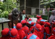 Edukasi Satwa Sejak Dini, BKSDA Kalteng Terima Kunjungan Siswa TK Al-Azhar