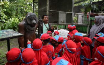 Edukasi Satwa Sejak Dini, BKSDA Kalteng Terima Kunjungan Siswa TK Al-Azhar