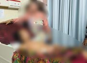 Korban Kritis Akibat Pembantaian di Perbatasan Kaltim-Kalteng Harus Dioperasi, Paru-parunya Luka