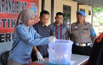 19 Pengedar Sabu Ditangkap Selama 4 Bulan