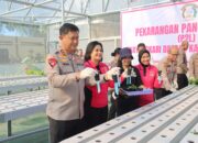 Green House Hidroponik untuk Dukung Ketahanan Pangan