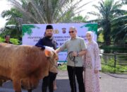 Polres Seruyan Serahkan 13 Hewan Kurban
