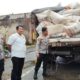 Selewengkan Pupuk Subsidi, Pria di Kotim Masuk Bui