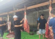SMAN 1 Sampit Berkurban Lima Ekor Sapi, Tanamkan Pendidikan Karakter dan Kepedulian Sosial