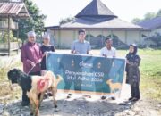 Peringati Hari Idul Adha 1447 Hijriah-CITIMALL PANGKALAN BUN BAGIKAN HEWAN QURBAN UNTUK MASYARAKAT SEKITAR