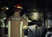 Dipicu Obat Nyamuk, Kandang Babi Nyaris Ludes Terbakar