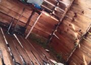 Karhutla Hanguskan 4 Hektare Lahan dan Rumah Kayu