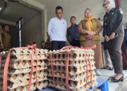 MBG Libur, Harga Telur Anjlok