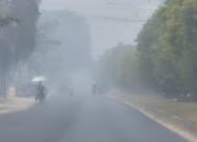Asap Karhutla Mulai Ganggu Penerbangan