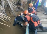 4 Hari Pencarian, ABK TB Kapuas Bahari V Ditemukan Tak Bernyawa