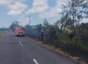 Kebun Warga Hangus Dilalap Api