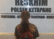 Panen Sawit Tanpa Izin, Pria 52 Tahun Diamankan Polisi