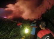 85 Kasus Selama 2 Bulan, Total Karhutla Kobar Capai 113,51 Hektare