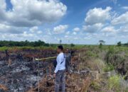 Warga Sukamara Jadi Tersangka Pembakaran Lahan