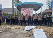 Kantor PLN Bau Busuk Dilempar Ribuan Ayam Mati, Peternak Me-deadline Senin, Desak Solusi Pemadaman Listrik
