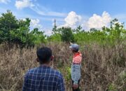 Sambut HUT Ke-81 RI, PLN Gandeng MPA Kameloh Baru Hadirkan Kampanye “Manisnya Madu, Andalnya Listrik”