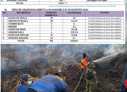 Tumbang Nusa Terus Membara, Terbakar 192, 29 Hektare,