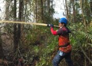 Aksi Cepat Tim PLN Padamkan Karhutla demi Lindungi Lingkungan dan Infrastruktur Ketenagalistrikan