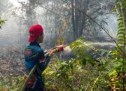 KAWASAN TAHURA SABARU TERBAKAR-Tim Gabungan Berhasila Padamkan Api di Area Seluas 0,91 Hektare