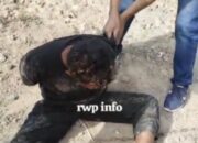 Acungkan Pistol saat Kepergok, Maling Bonyok Dihajar Massa