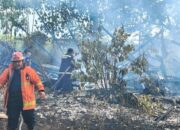 Kebakaran Lahan Hanguskan Bangunan Sarang Walet