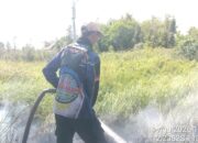 KARHUTLA DI PALANGKA RAYA-Dalkarhutla Dishut Berhasil Tangani Api di Langkai dan Bukit Tunggal 