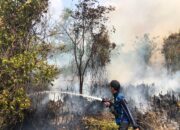 Tim Gabungan Berhasilan Padamkan Karhutla di Bukit Liti 