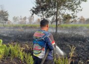 Karhutla di Petuk Ketimpun Berhasil Dipadamkan