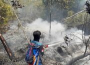KARHUTLA DI KERENG BANGKIRAI-0,13 Hektare Lahan Terbakar Berhasil Dipadamkan 