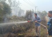 KARHUTLA DI DESA TARUNA-0,18 Hektare Lahan Berhasil Dipadamkan