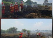 Karhutla yang Terjadi di Kebun PT HGE Berasal dari Luar IUP, Api Masuk Kebun Akibat Angin Kencang