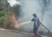 KEBAKARAN DI KELURAHAN LANGKAI-0,09 Hektare Berhasil Dipadamkan