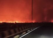 Karhutla Tambah Parah, Kalaksa BPBD Pulang Pisau Mendadak Dicopot