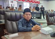 Ardianto Apresiasi Langkah Bupati Wujudkan Listrik Desa Butong