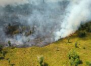 KARHUTLA TNTP KIAN MEMBARA-Hutan Terbakar Meningkat Jadi 3.105,47 Hektare 