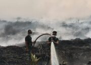 12.566 Hektare Lahan Kalteng Terbakar, Polisi Sikat 39 Kasus Pembakaran