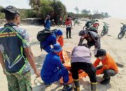 2 Mayat Ditemukan di Pesisir Seruyan, Diduga Korban KM Virgo Transport 8