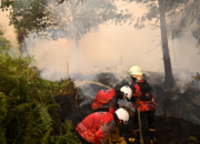 Karhutla Kalteng Mengganas 14.989 Hektare, Terdeteksi 189.824 Hotspot, 91.342 Kasus ISPA dan 22.533 Kasus Diare