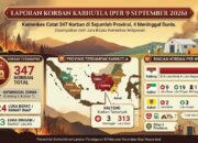 Kemenkes: Kalteng 3 Meninggal, 313 Luka Berat, Dinkes Kalteng Bingung, Data dari Mana?