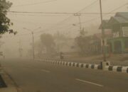 Kabut Asap Karhutla Bartim Memburuk, Pemkab Terapkan PJJ untuk TK, SD dan SMP
